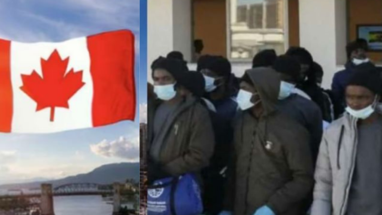Canada Deports 366 Nigerians, Nearly 1,000 Await Removal Amid Immigration Crackdown