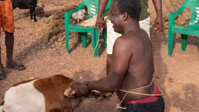 Man Caught Having Sex with a SheepPenyablogmedia _20260123_121957_0000