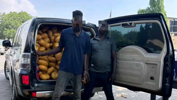 Tema Police Intercept Over 1,600 Parcels of Suspected Narcotic Drugs in Maj_20260113_101717_0000