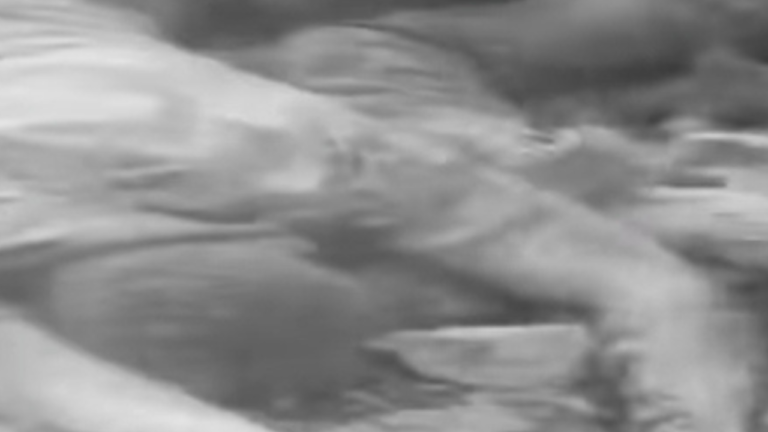 Burkina Faso Terrorist Attack: Male Passengers Were Shot Dead, Leaving Female Passengers Unharmed