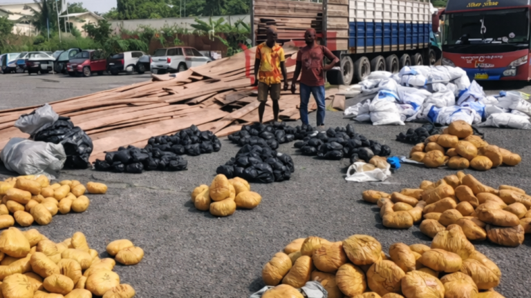 Police Intercept 527 Parcels of Indian Hemp, Reject GH¢120,000 Bribe from Suspects 