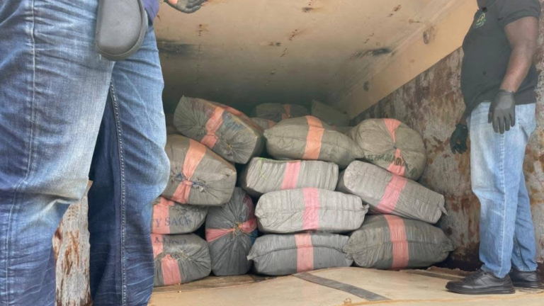 Police Retrieve Suspected Cannabis Worth Over GHS 1.4 Million from Impounded Truck in Oti Region